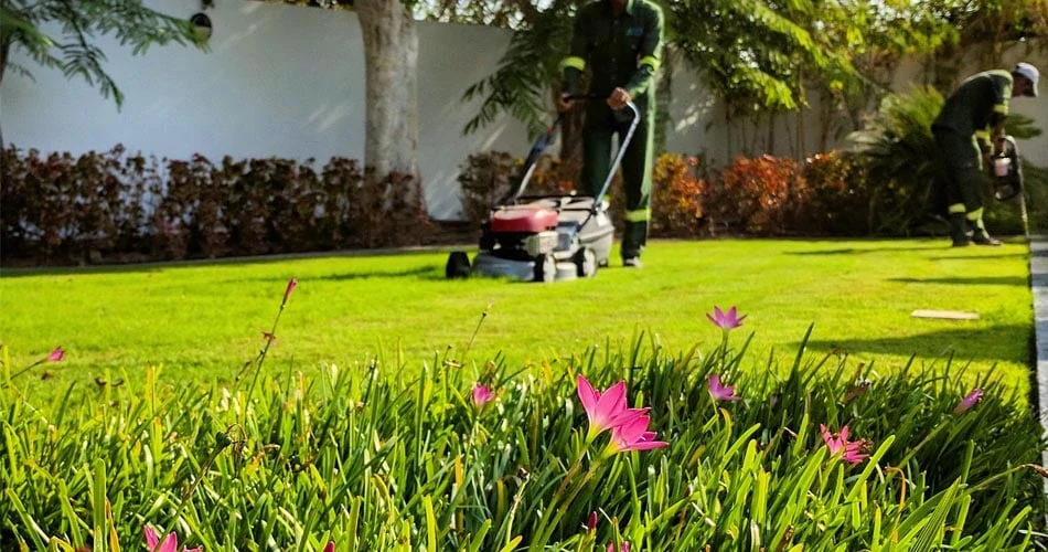 Garden-Maintenance-Services-Dubai