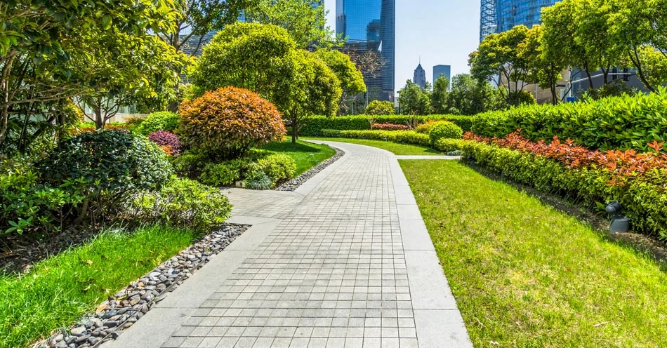 Landscape-Contractors-in-Dubai