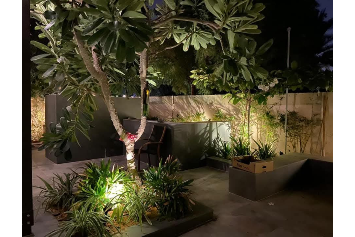 Plants_Lights_install_cerijolandscaping