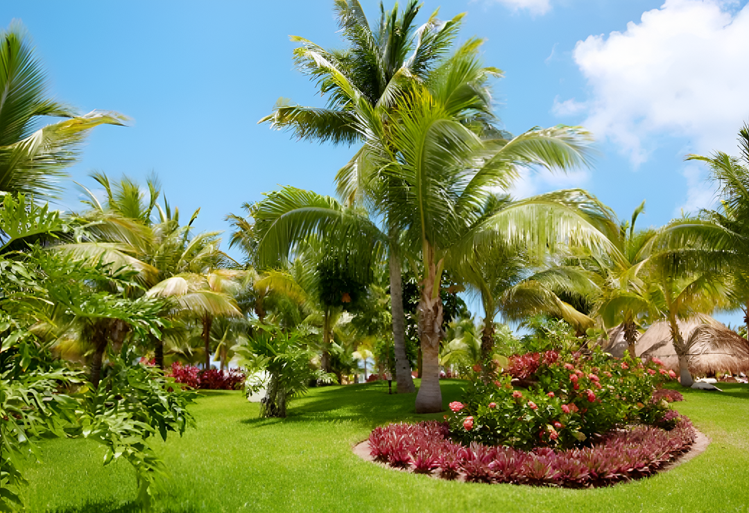 cerijolandscaping_garden_work