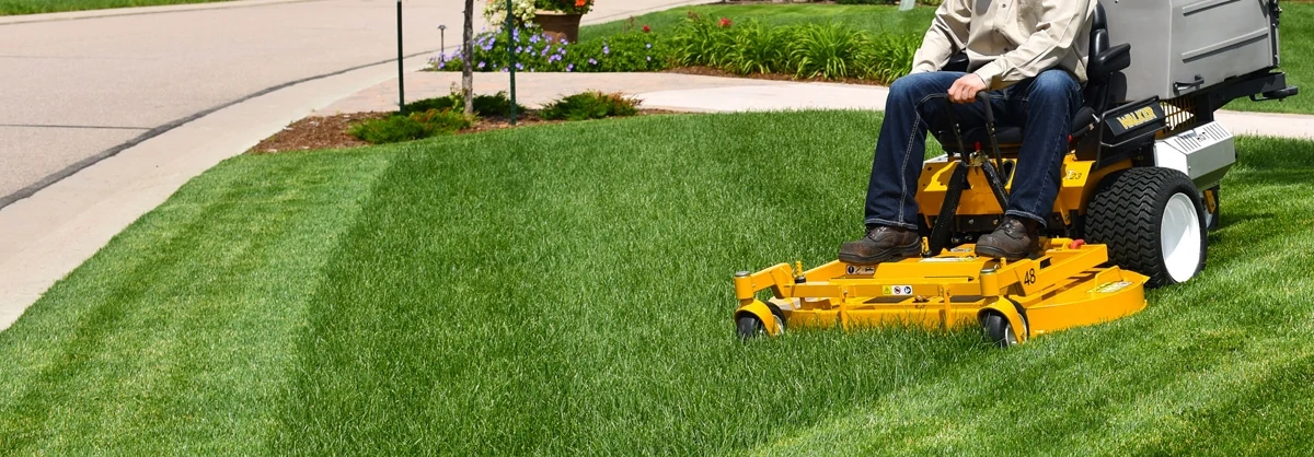 garden-maintenance-services-dubai-1