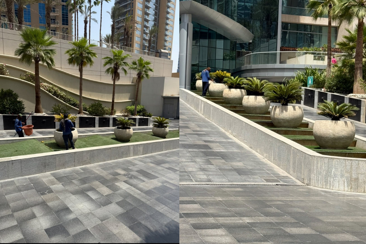 Dubai-Main-Road-Plant-care-uae