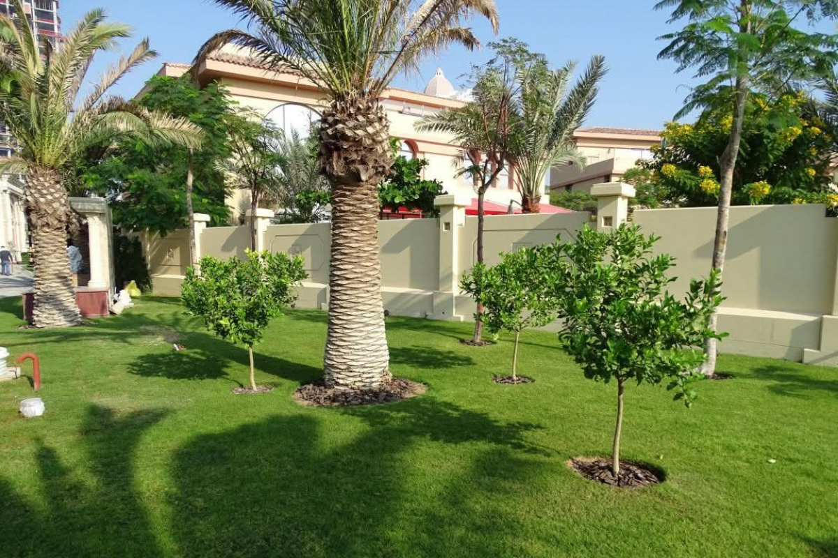 Garden_Maintenance_in_Dubai_cerijolandscaping
