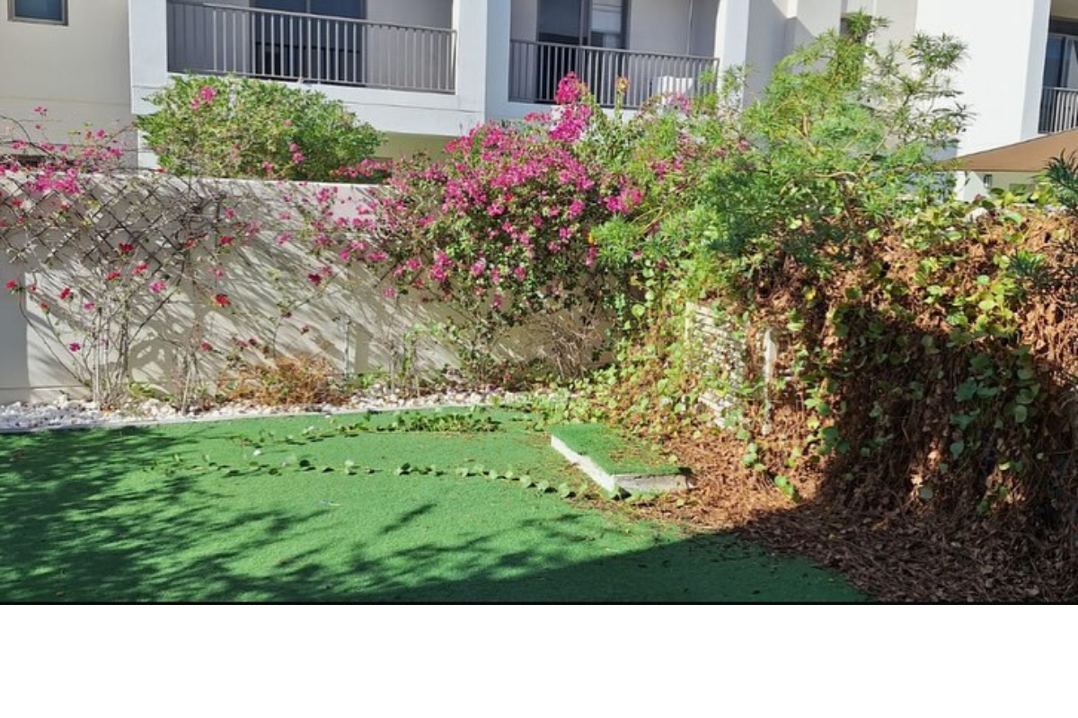 Gardening-Maintenance-in-Dubai-UAE