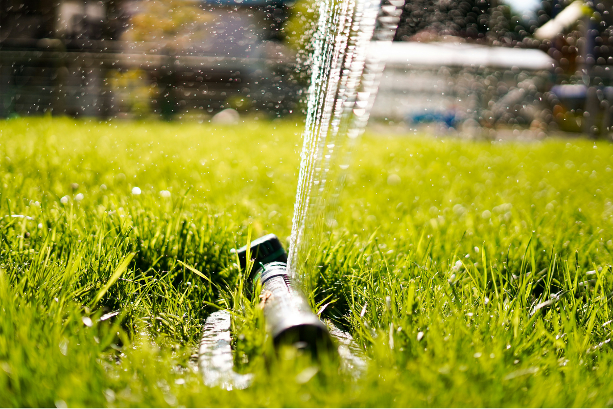 Irrigation-system-for-plants