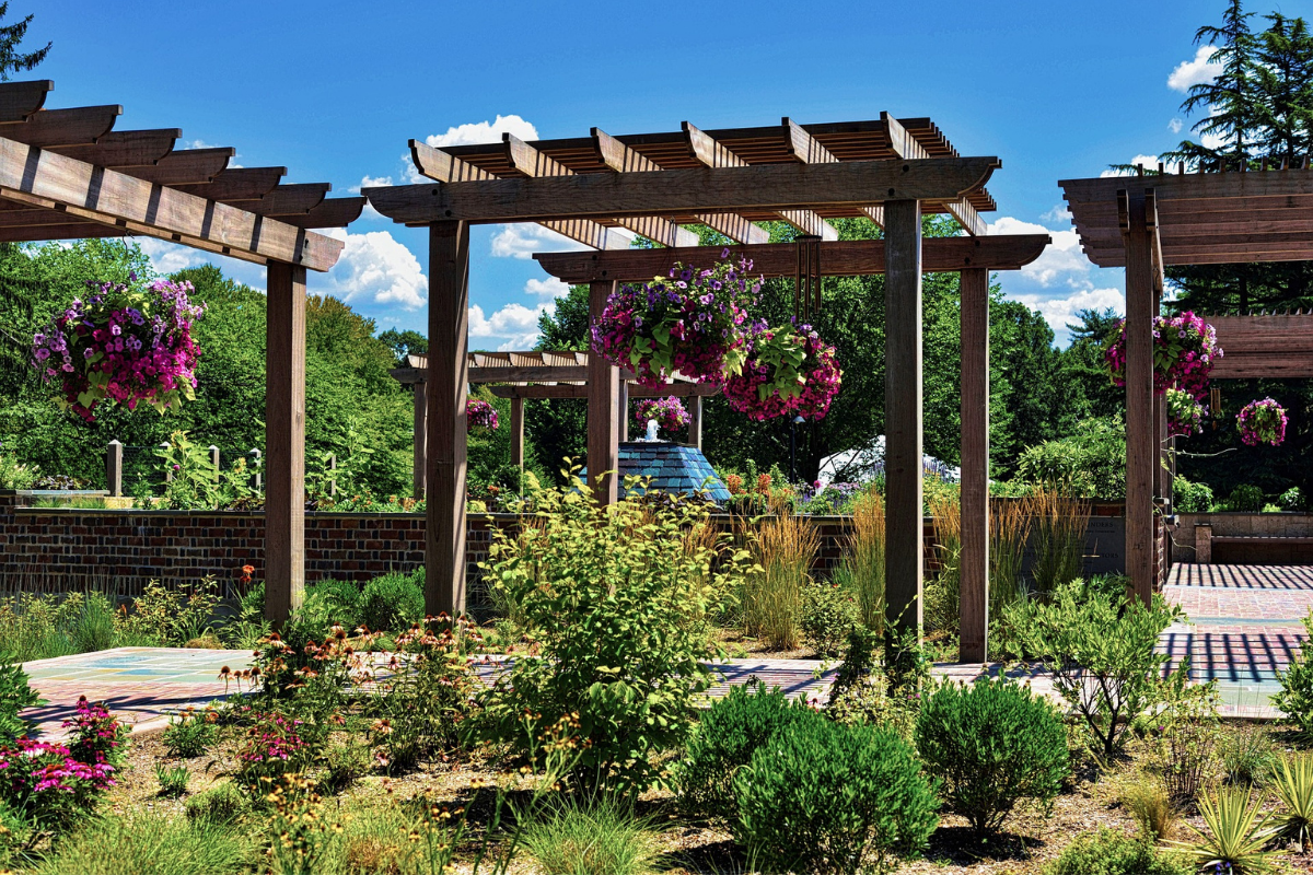 Pergola-installation-make-by-cerijolandscaping
