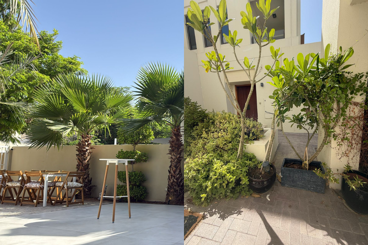 Plant-Maintenance-Dubai-UAE