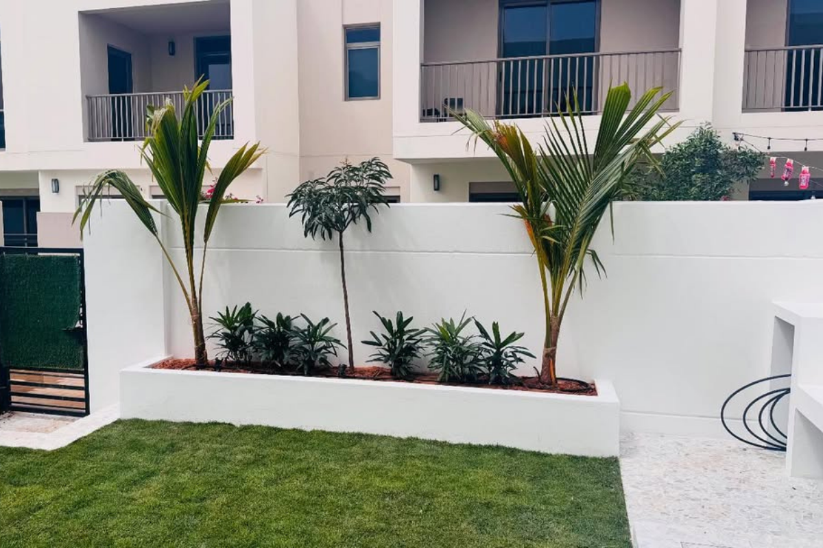 Plants-care-in-dubai-villa
