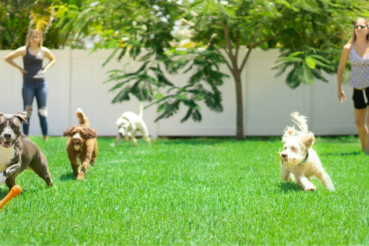 good_artificial_grass_cerijolandscaping