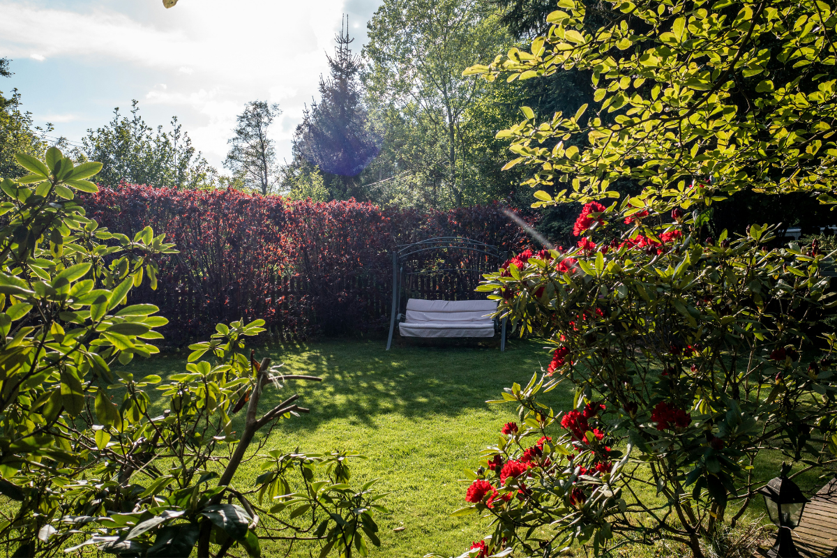 home-garden-maintenance-in-dubai